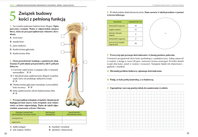 Biologia Klasa 7 Dzial 4 - Biologia Klasa 7 - Szkoła podstawowa 4-8 | WSiP.pl